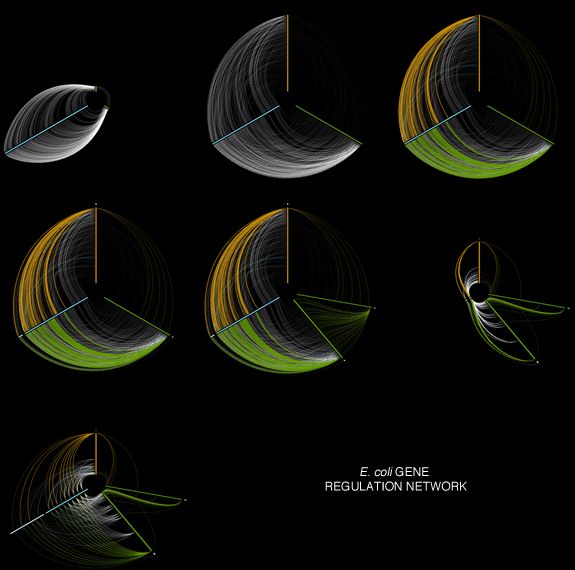 Hiveplot Diagram Techpoland Blog - Best Gradient Patterns in 8K