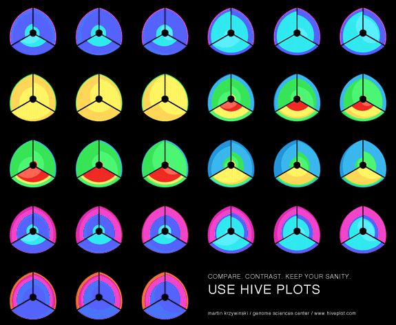 Hiveplot Diagram Techpoland Blog - Best Nature Photos in 8K