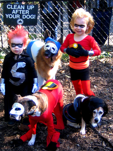 Halloween Owner And Dog Costumes The Ultimate Couple S Costume Ideas Holly Jolly Holidays