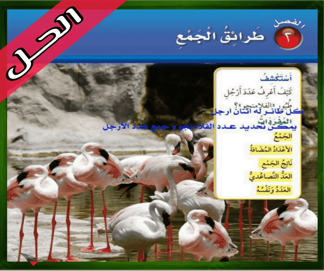 حل كتاب الرياضيات الثاني الابتدائي