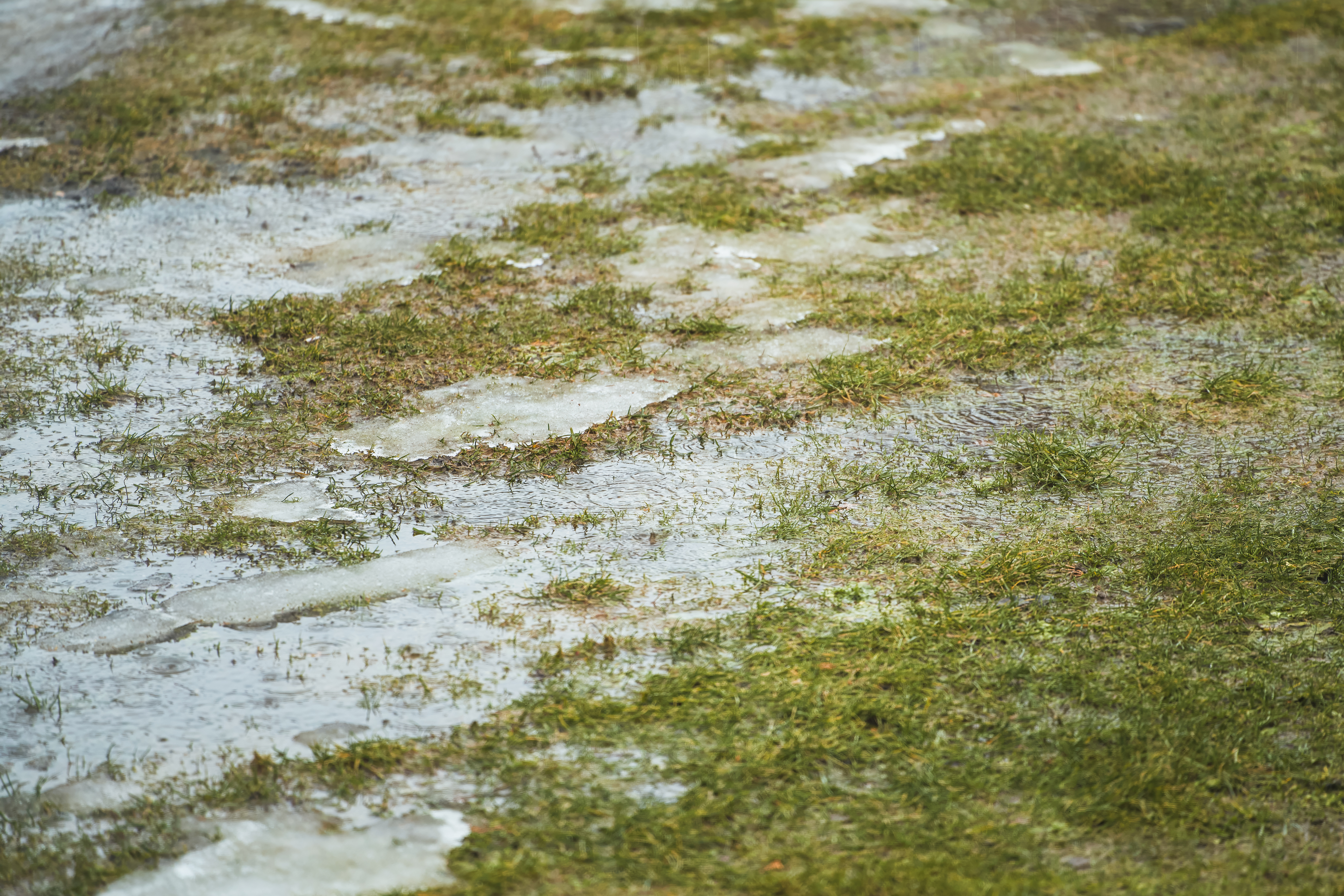 The effects of climate change and urban development on soil health and water absorption