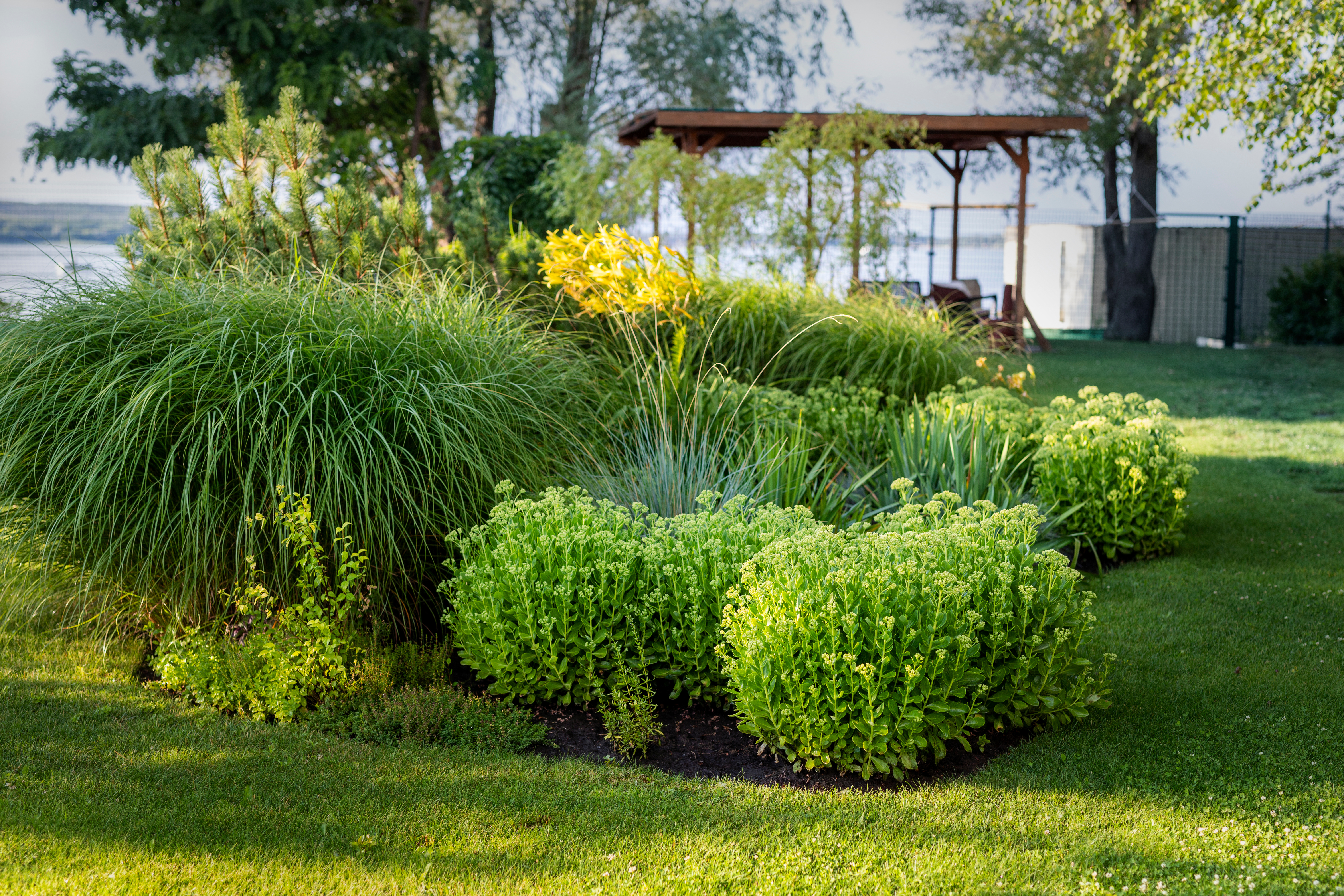 Scenic landcape view of ornamental garden with bushes and different plants at countryside. Landscaping design mown lawn irrigated with smart autonomous sprayers near lake or river private mansion.