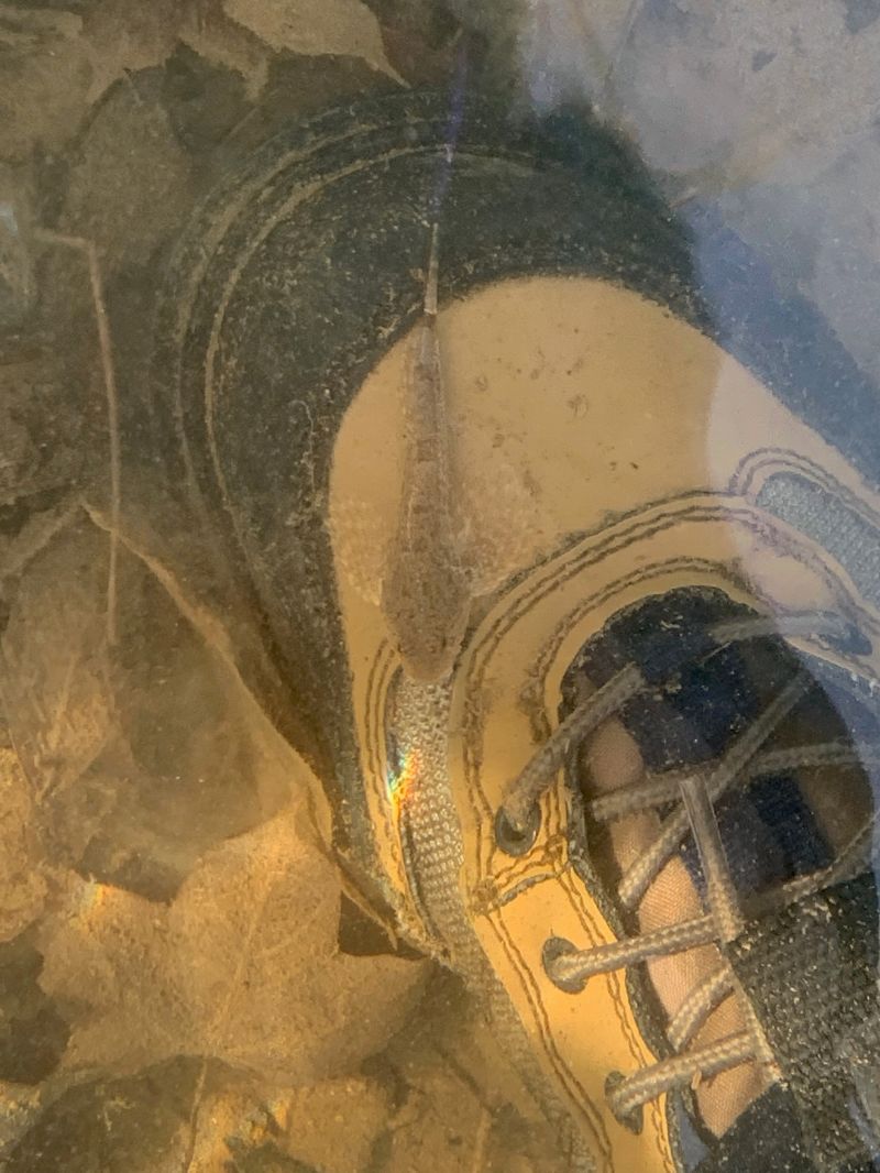 Ianalloway Ian Alloway Github - High Quality HD Geometric Images | Free Download