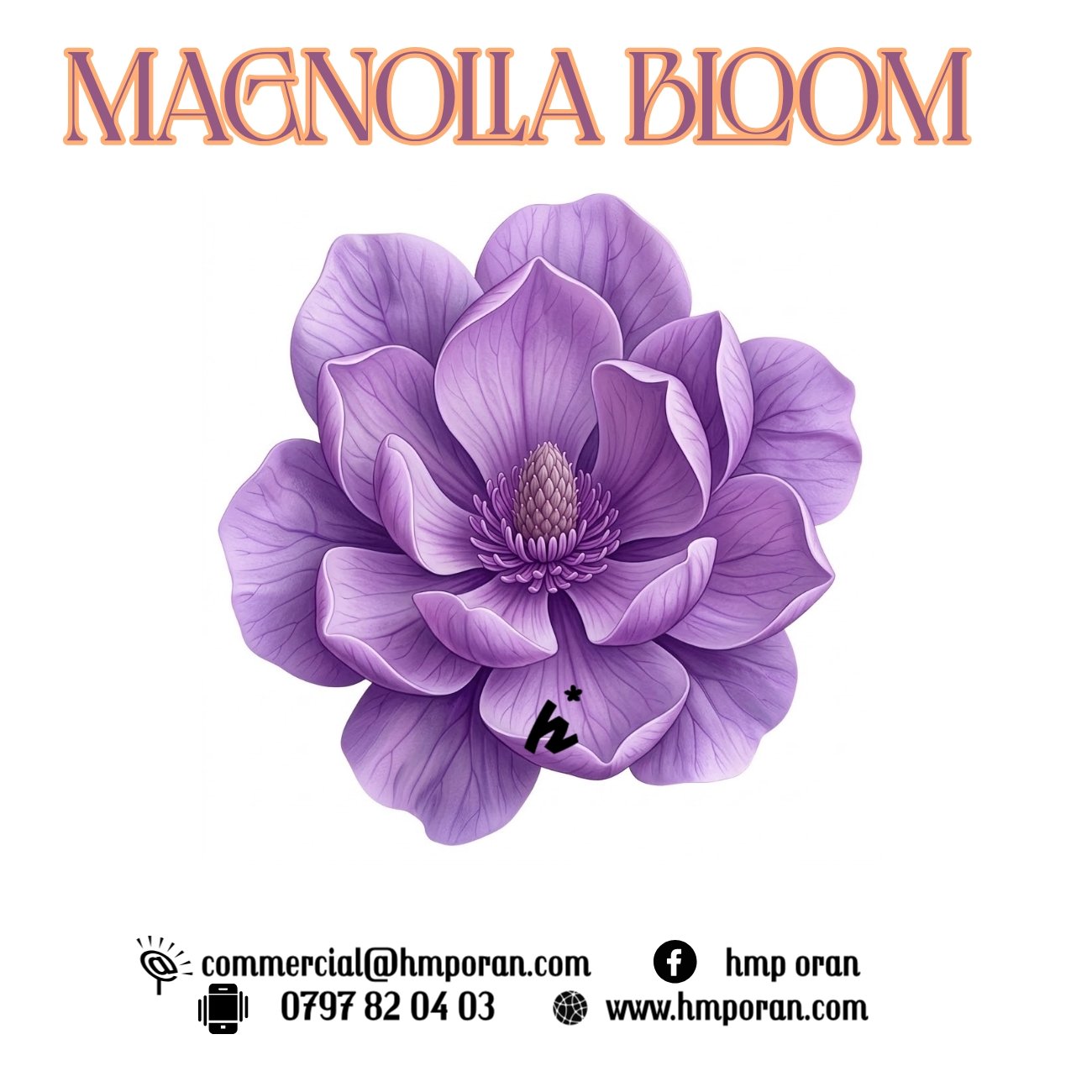 Magnolia Bloom