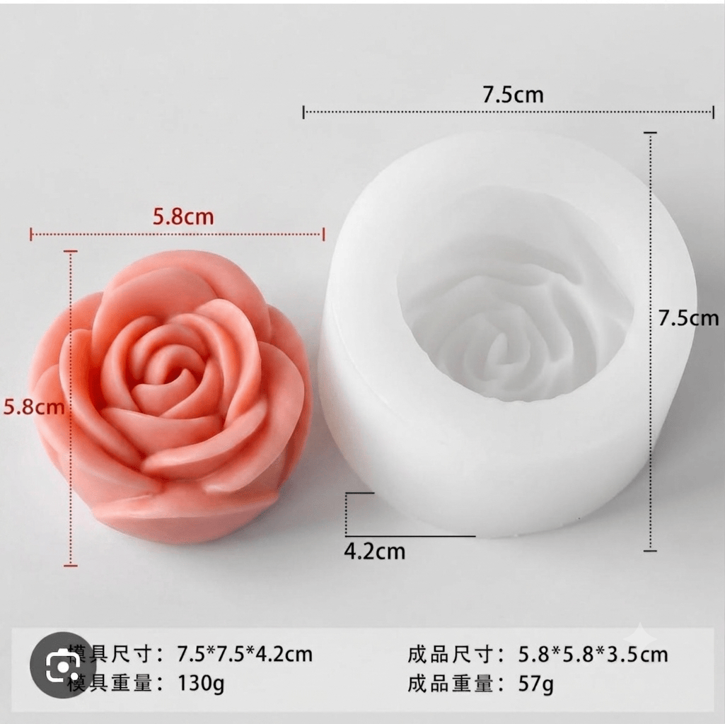 Beautiful Rose