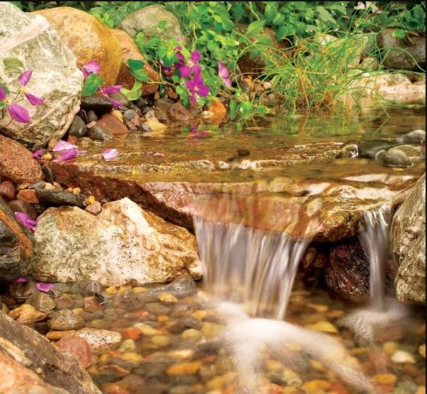 Cheap diy ponds are not too hard to find and they take far less time to create. 10 DIY Waterfall Ideas And Features For Your Backyard