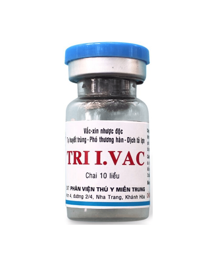 TRI I.VAC – Vắc Xin Tụ Huyết Trùng – Phó Thương Hàn – Dịch Tả Lợn