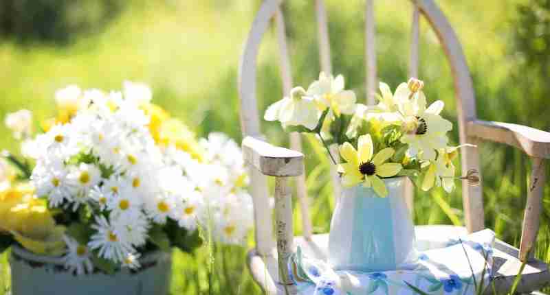 Flowers in Vase on Chair