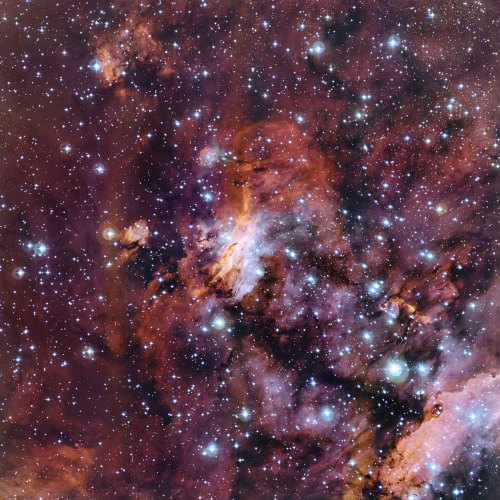 The rich patchwork of gas clouds in this new image make up part of a huge stellar nursery nicknamed the Prawn Nebula (also known as Gum 56 and IC 4628). Taken using the MPG/ESO 2.2-metre telescope at the La Silla Observatory in Chile, this may well be one of the best pictures ever taken of this object. It shows clumps of hot new-born stars nestled in among the clouds that make up the nebula.