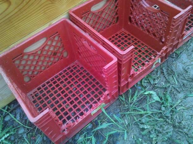 Keranjang plastik seperti ini bisa di potong di samping seperti pada gambar untuk memudahkan ayam betina masuk ke tempat bertelur