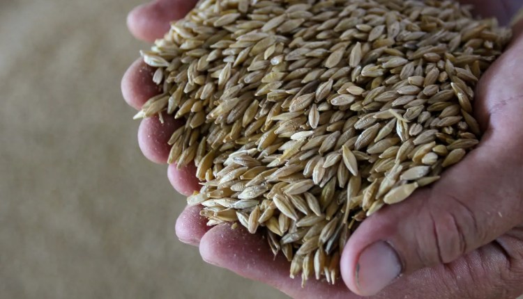 الاقتصاد-اللبنانية