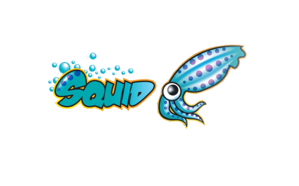 squid ubuntu