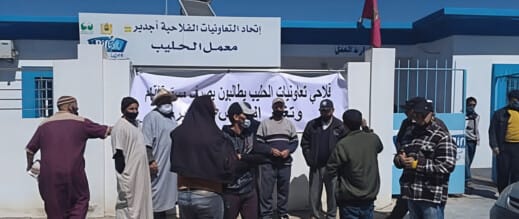 مأساة عمال معمل الحليب بإمزورن: بين الأبواب الموصدة وضياع لقمة العيش