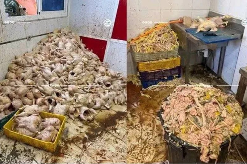 دجاج فاسد في طنجة: تفاصيل عملية نوعية بخندق الدير