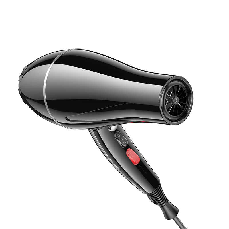 Hoco HP12 Hot And Cold Air Hair Dryer (EU) Quick Style Fix