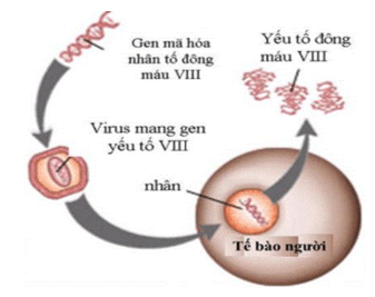 Công nghệ gene và ứng dụng (chi tiết nhất)
