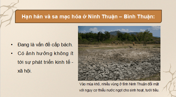 Giáo án điện tử Địa Lí 9 Chân trời sáng tạo Bài 16: Thực hành: Phân tích ảnh hưởng của hạn hán và sa mạc hoá đối với phát triển kinh tế - xã hội ở vùng khô hạn Ninh Thuận - Bình Thuận | PPT Địa 9
