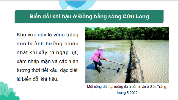 Giáo án điện tử Địa Lí 9 Chân trời sáng tạo Bài 22: Thực hành: Phân tích tác động của biến đổi khí hậu đối với Đồng bằng sông Cửu Long | PPT Địa 9