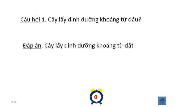 Giáo án điện tử Chuyên đề Sinh 11 Chân trời sáng tạo Bài 4: Thực hành: Chứng minh tác dụng của phân bón đối với sinh trưởng, phát triển và năng suất cây trồng | PPT Chuyên đề Sinh học 11