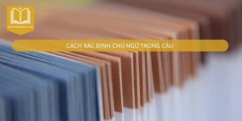 hiện tại đơn