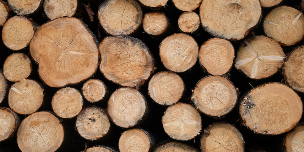 How To View Docker Logs In Linux