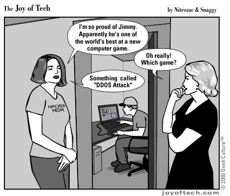 The Growing Threat of Denial of Service (DoS) Attacks in our Digital World