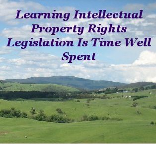 The Wildean View: Intellectual Property Rights in the Modern World