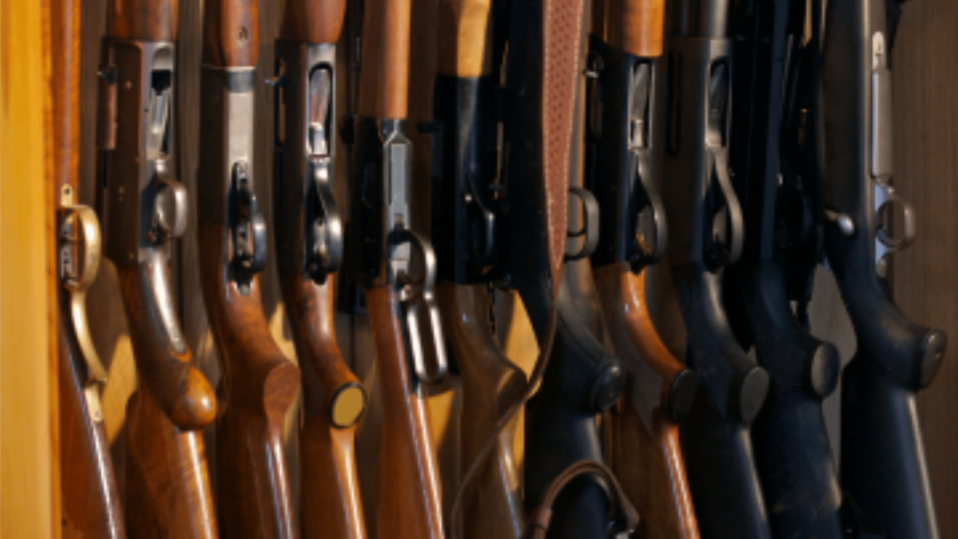 Navigating the Complex Terrain of Gun Laws in America: Balancing Rights and Safety