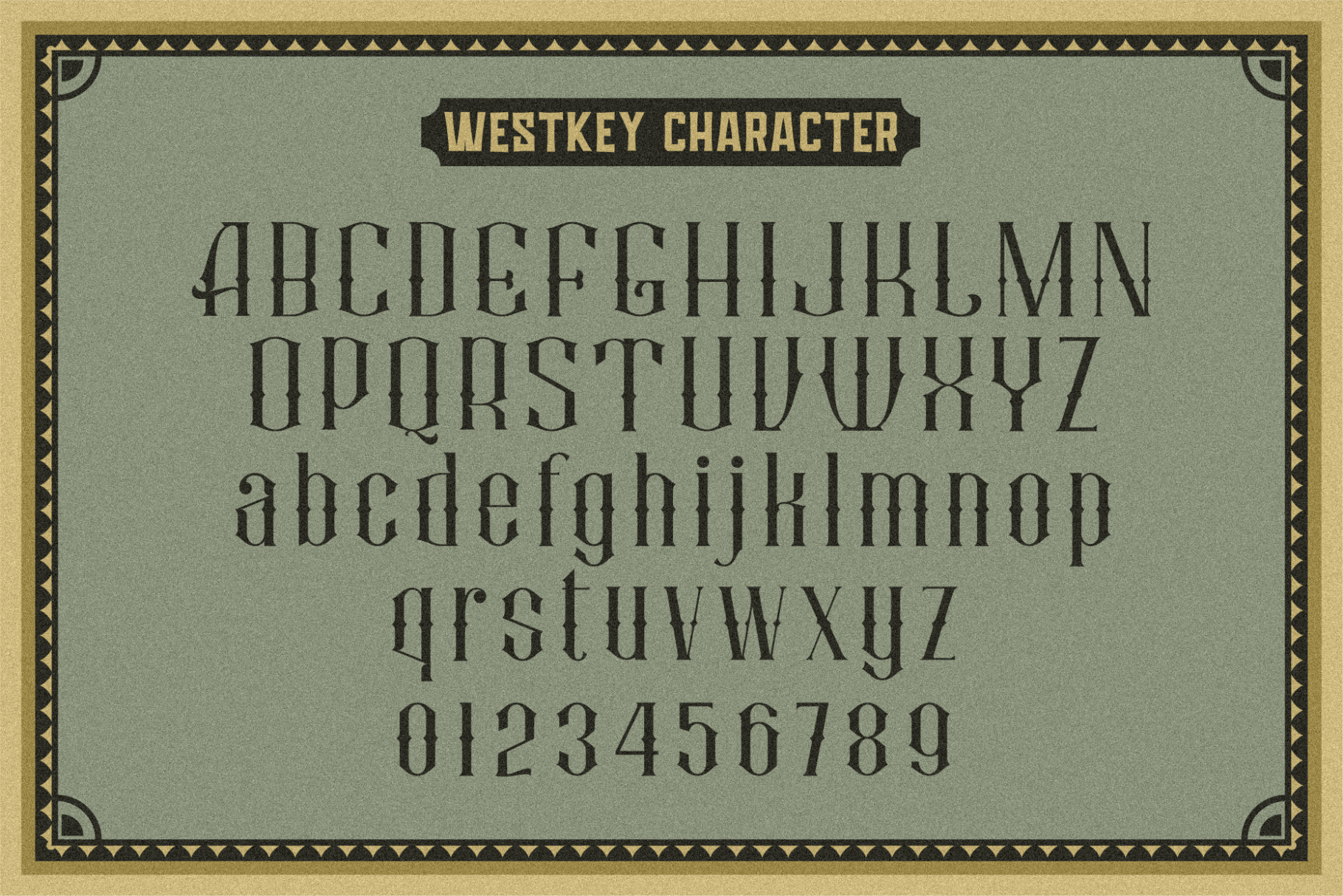 5 5