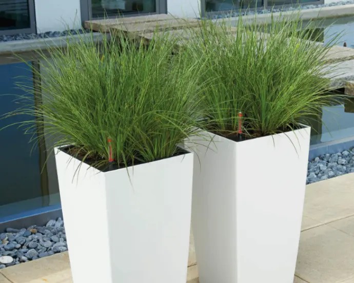 Outdoor Reception Areas