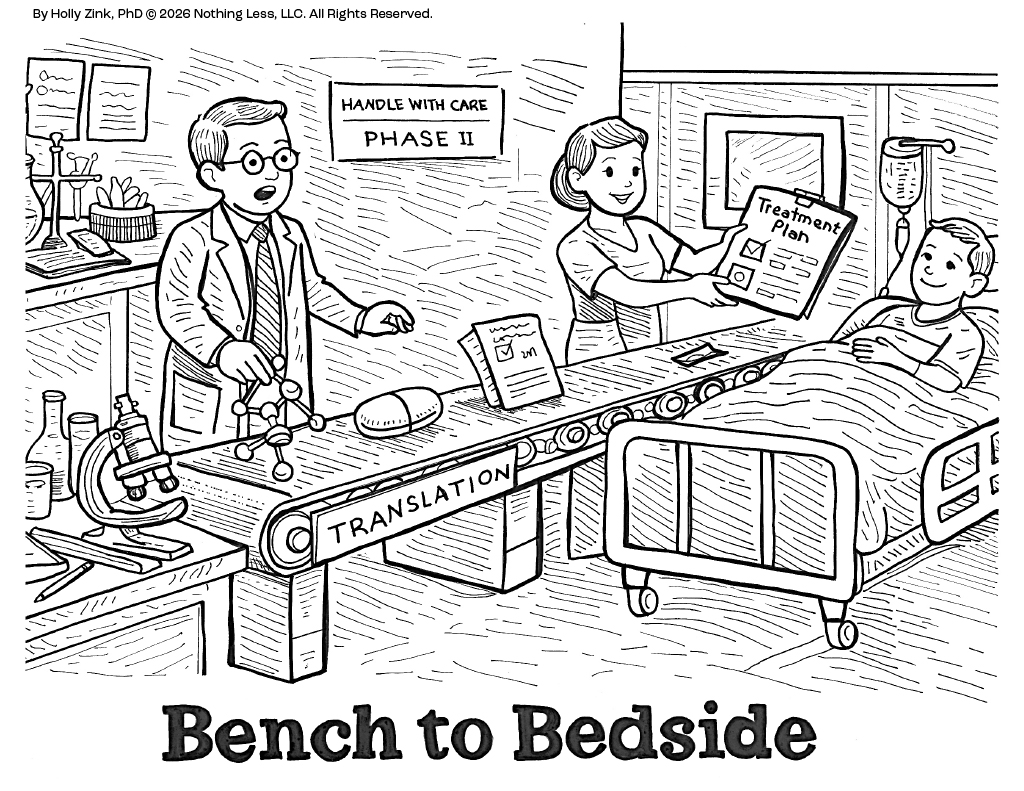 A conveyor belt carries discoveries from a laboratory bench to a hospital bed.