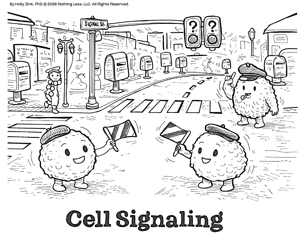 Cartoon cells direct traffic at a busy intersection using signs and signals.