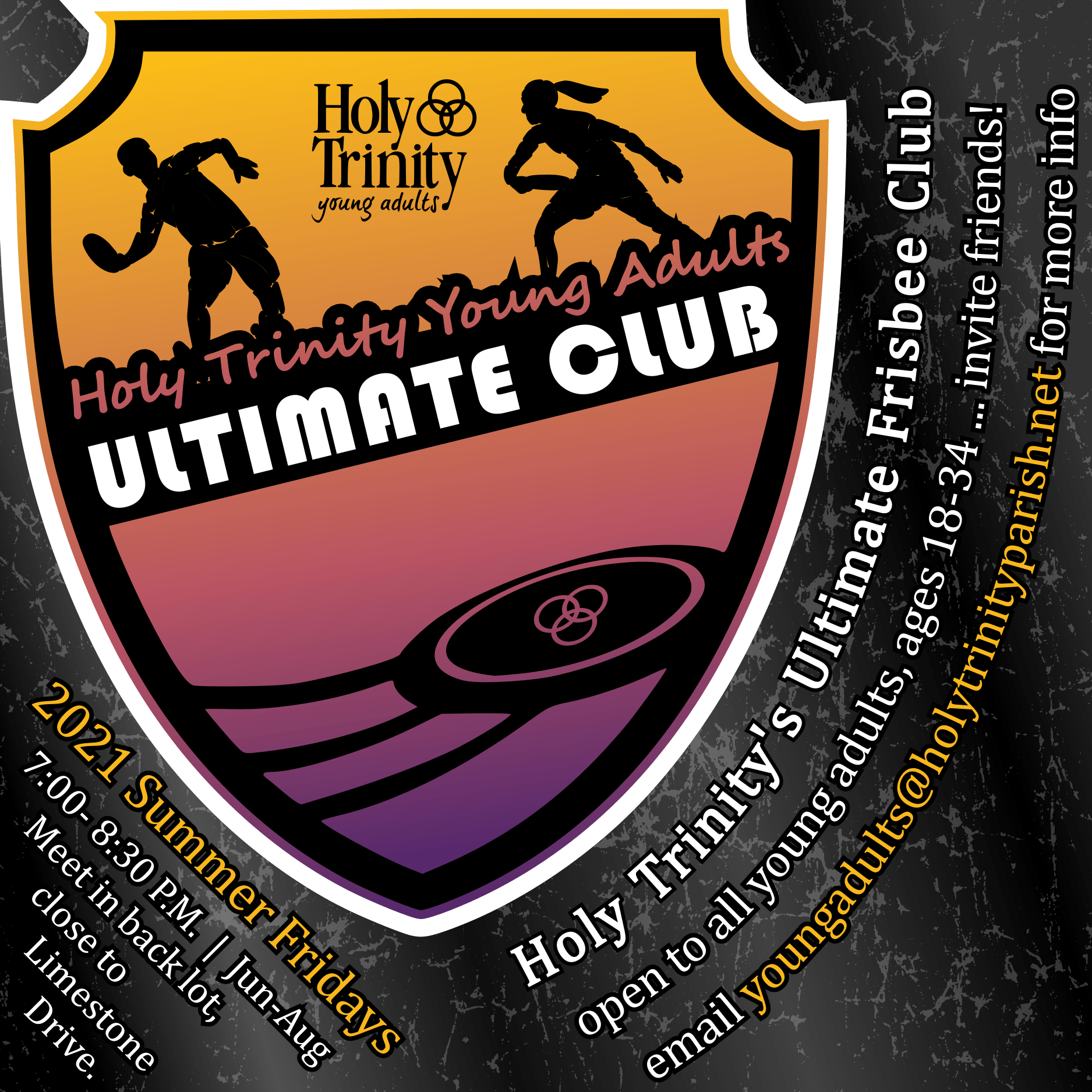 Young Adult Summer Ultimate!