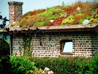 Was Bluht Da Auf Dem Dach November 2020 Familienheim Und Garten