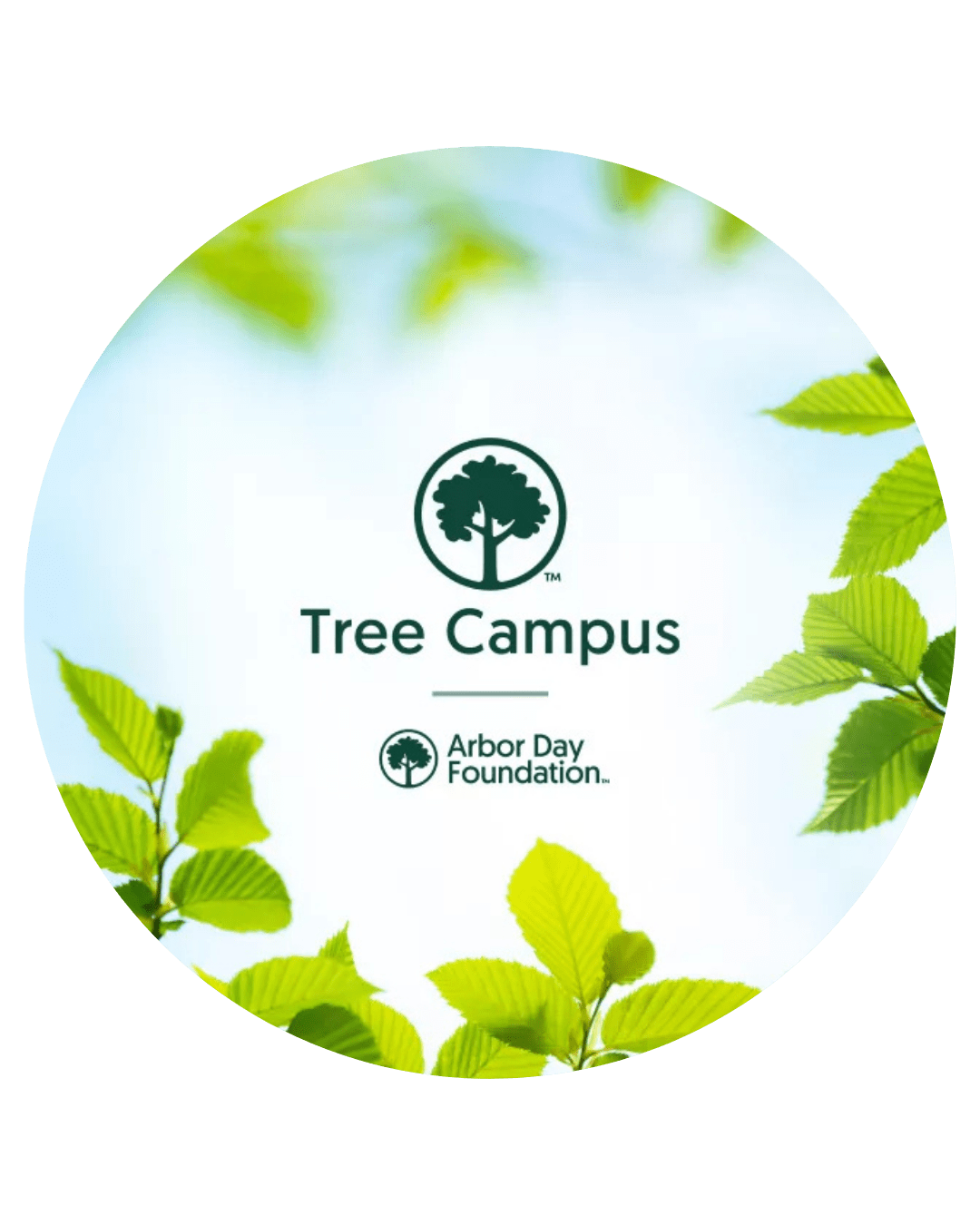 Tree Campus Logo