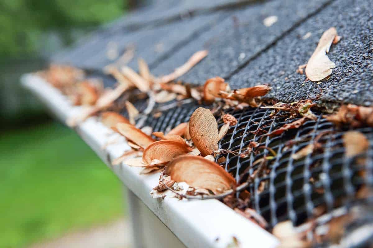 Best gutter guards and best leaf guards