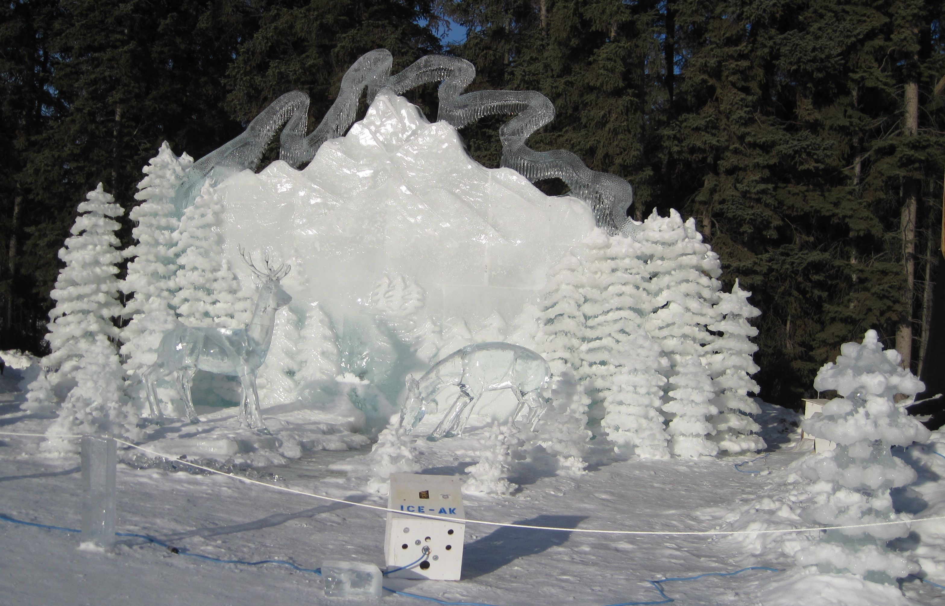 Governor's Choice: Aurora Dreams