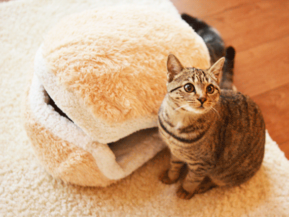 The whole family is going to request this hamburger pie on repeat.! The adorable Cat Burger Pillow from Japan