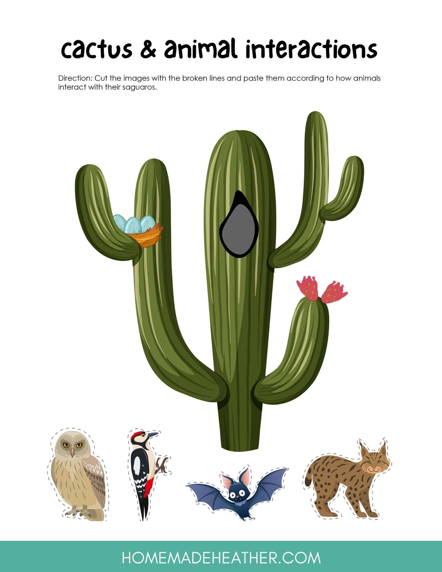 Free Cactus Activity Printables » Homemade Heather
