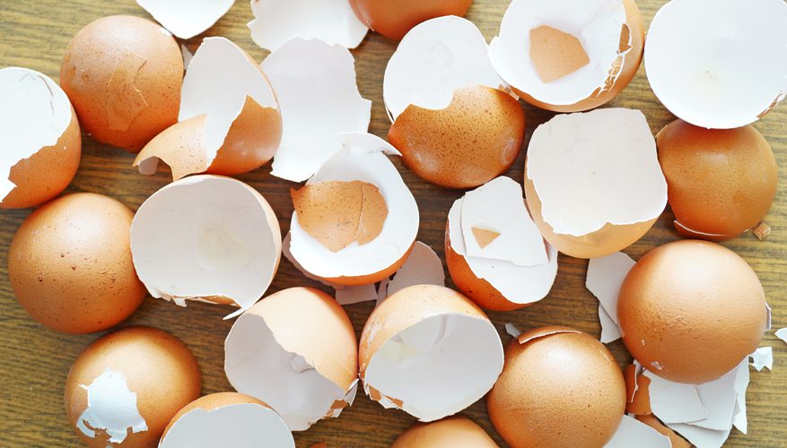 7 brilliant ways to use eggshells in your garden