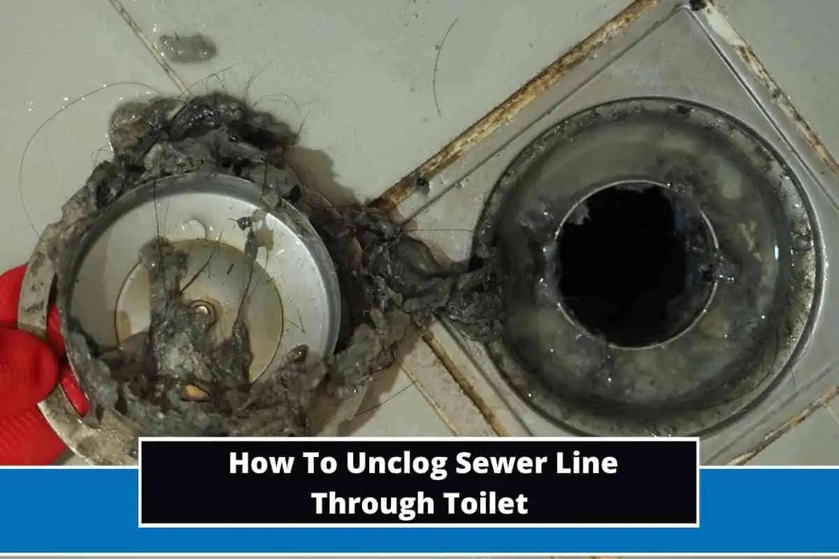 How to unclog sewer line through toilet (4 potent ways)
