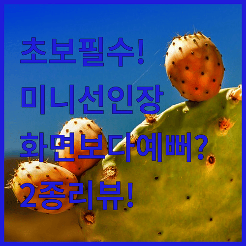 화면 그대로 너무 예뻐요 초보 식집사도 만족한 미니 선인장 2종 리뷰