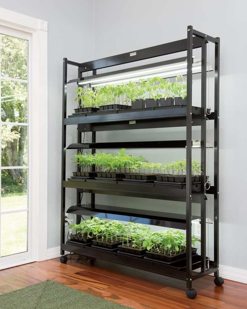 Using Grow Lights for Seedlings or Indoor Plants Homestead and Chill