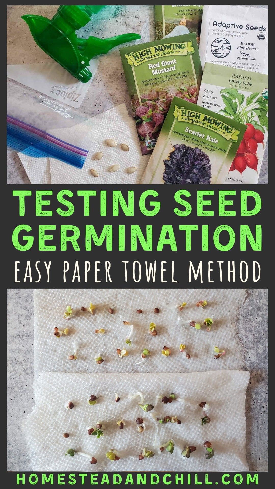 How to Test Seed Germination Easy Paper Towel Method Homestead and Chill