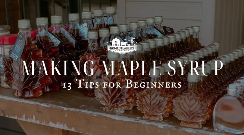13 Maple Syrup Making Tips for Beginners