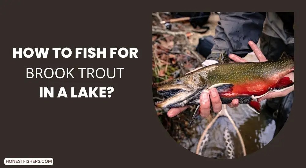 How To Fish For Brook Trout In A Lake? Honest Fishers