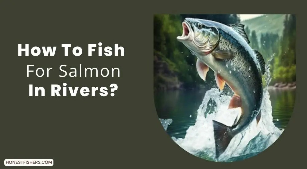 How To Fish For Salmon In Rivers? Honest Fishers