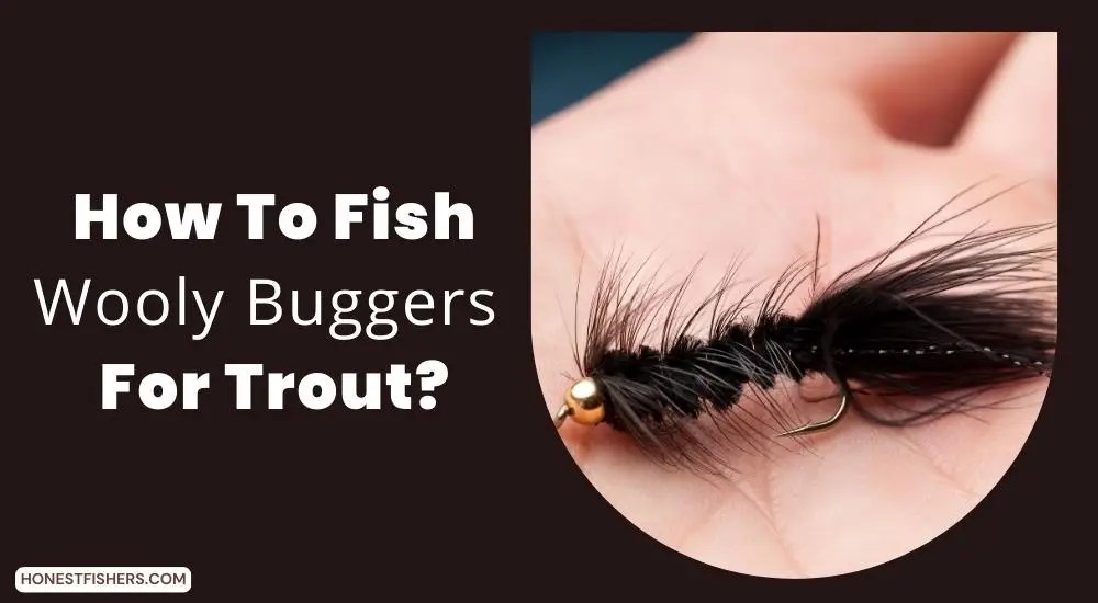 How To Fish Wooly Buggers For Trout? Honest Fishers