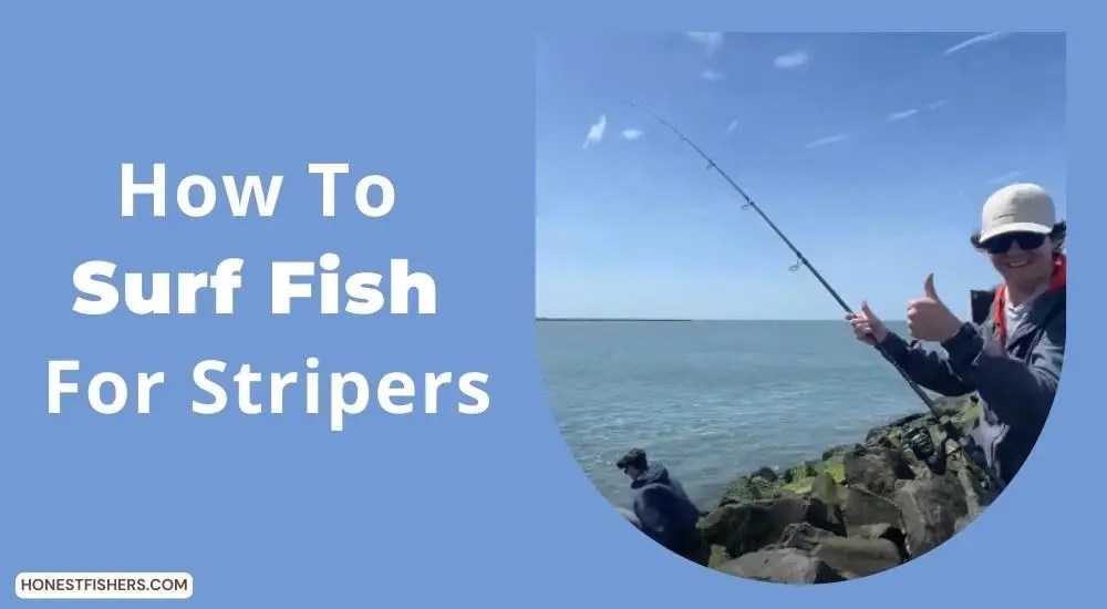 How To Surf Fish For Stripers A Definitive Guide Honest Fishers