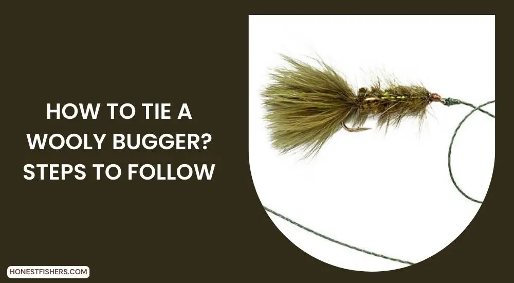 How To Tie A Wooly Bugger? Steps To Follow Honest Fishers
